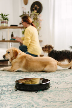 Robot housework dogs and woman