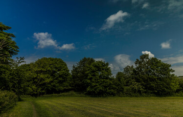 Meadows and pasture land near vanished village