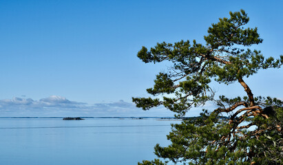 Fototapeta na wymiar Frozen archipelago