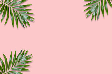 Fototapeta premium Minimal tropical green palm leaf on pink paper background. Flat lay Top view with copy space for your text.