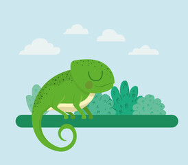 pretty iguana illustration