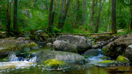 Naklejka na ściany i meble Rocks in a stream in the forest. Shot in Sweden, Scandinavia