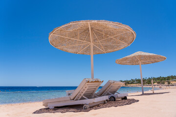 Luxury sand beach with beach chairs and white straw umbrellas in tropical resort in Red Sea coast in Egypt, Africa