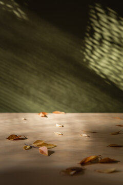 Organic still life background