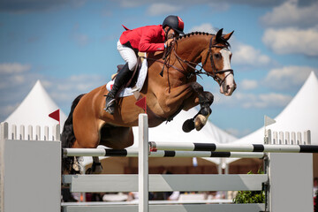 Horse Jumping, Equestrian Sports, Show Jumping themed photo. - obrazy, fototapety, plakaty