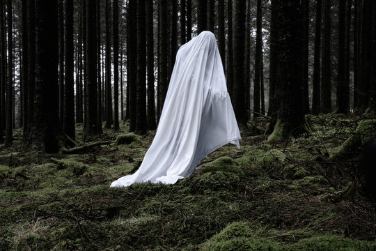 A spooky ghost covered in a white sheet, in a dark forest