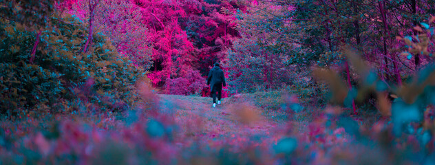 IN THE PURPLE FOREST