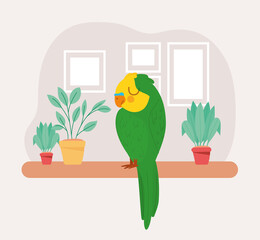 pretty parrot representation