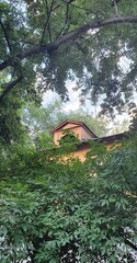 Roof of a house with an attic window on the roof of the house among many trees. Blue sky, old house, cityscape