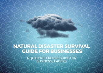 Composition of natural disaster survival text with grey cloud and white network pattern on blue sky