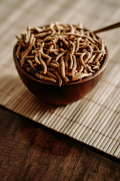 dried molitor worms