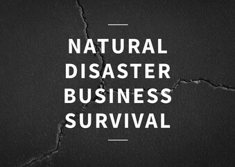Composition of natural disaster business survival text in white over cracked wall