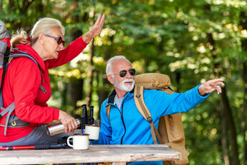 Senior couple hiking in the forest