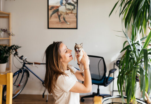 Working from Home and Dog