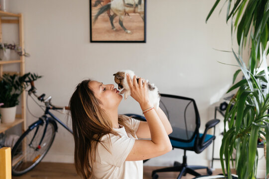 Working from Home and Dog