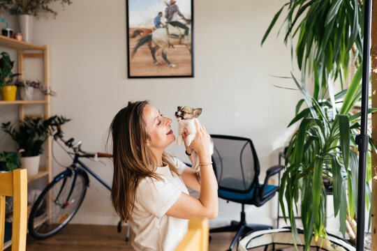 Working from Home and Dog