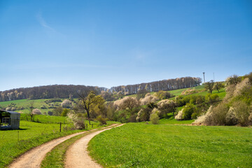 Fototapeta na wymiar Country road in landscape between fields with nice blue sky 