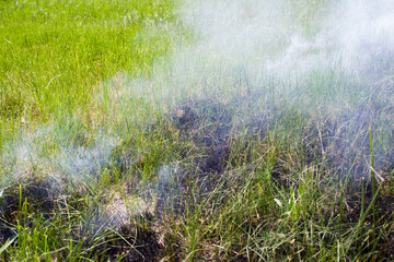 Obraz na płótnie Canvas Burning old dry grass in the garden. Burning stubble