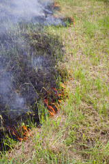 Burning old dry grass in the garden. Burning stubble