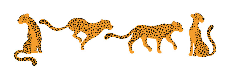 Leopards set. Vector illustrations of tropical animals in different poses in a simple cartoon hand-drawn style. Isolate on a white background.