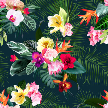 Exotic tropical flowers, orchid, strelitzia, hibiscus, protea, ylang-ylang, palm, monstera leaves vector seamless pattern.