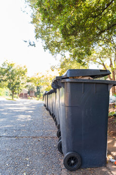 A long row of trash cans await pickup 