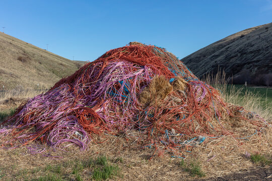Pile of hay and discarded multicolored string