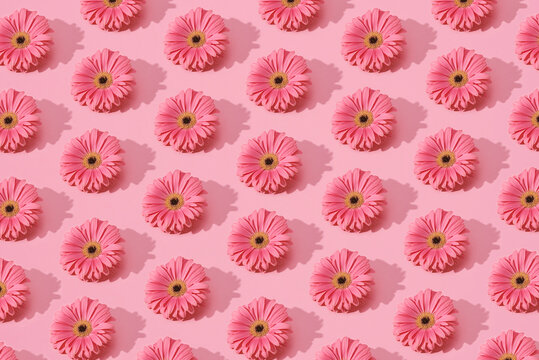 mosaic of pink gerbera daisies