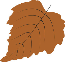 Autumn botany leaf from tree vector illustration