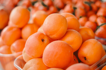 Many apricots on the stall orange background