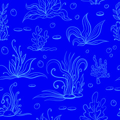 Set of seaweeds and marine plants. Seamless pattern of algae, leaves, coral. Vintage style drawn marine flora. Blue background vector illustration.Design for summer beach, decorations.