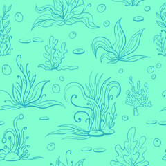Set of seaweeds and marine plants. Seamless pattern of algae, leaves, coral. Vintage style drawn marine flora. Blue background vector illustration.Design for summer beach, decorations.