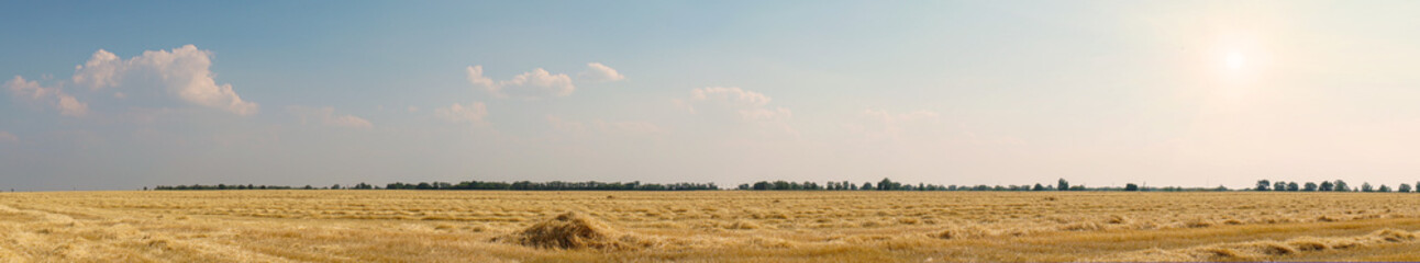 Obraz premium Panorama Beautiful dry stubble on the field against the sky
