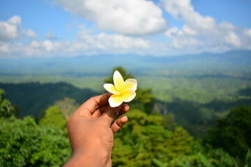 hand holding a flower over the sky