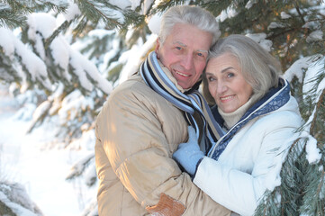 Happy senior couple  at snowy winter park