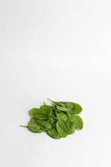 fresh spinach leaves on a white background