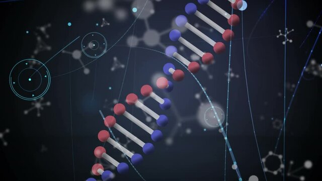 Animation of dna strand spinning with molecules and network of connections