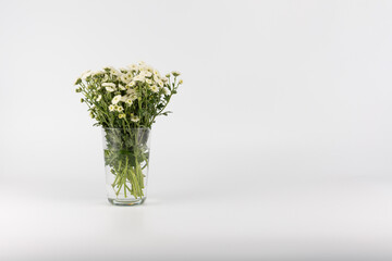 bouquet of calimero chrysanthemums in a vase on a white background
