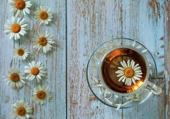 A cup of tea and daisies on a blue wooden background.