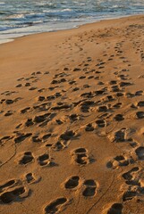 footprints on the beach