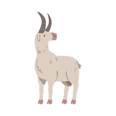 White Goat Farm Animal, Livestock Cartoon Vector Illustration