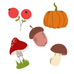 Autumn set with pumpkin, mushrooms, cranberries and acorn isolated on a white background. Vector illustration in hand draw style