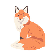 Cute Sitting Fox, Wild Predator Forest Mammal Animal Cartoon Vector Illustration