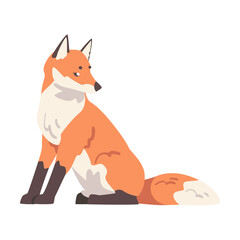 Sitting Red Fox, Wild Forest Mammal Animal Cartoon Vector Illustration