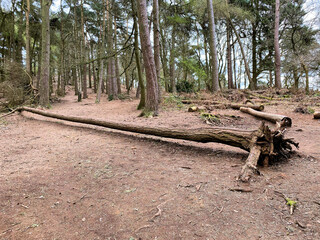 A view of the Peckforton Hills in Cheshire