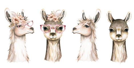 Lama head isolated. guanaco face in watercolor style. Wild nature animal with flowers and leaves on head, glasses. ELement for your advertisement, poster, print, banner or web design. © Anna Terleeva