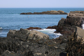 Rocky coast of the sea in Maine