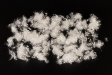 Fluff of poplar trees close-up. Allergy to poplar seeds.