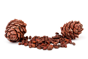 Pine nuts and ripe pine cones on a white background