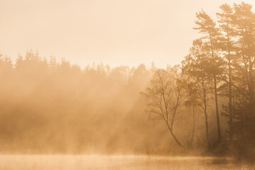 Mist at calm lake at sunrise